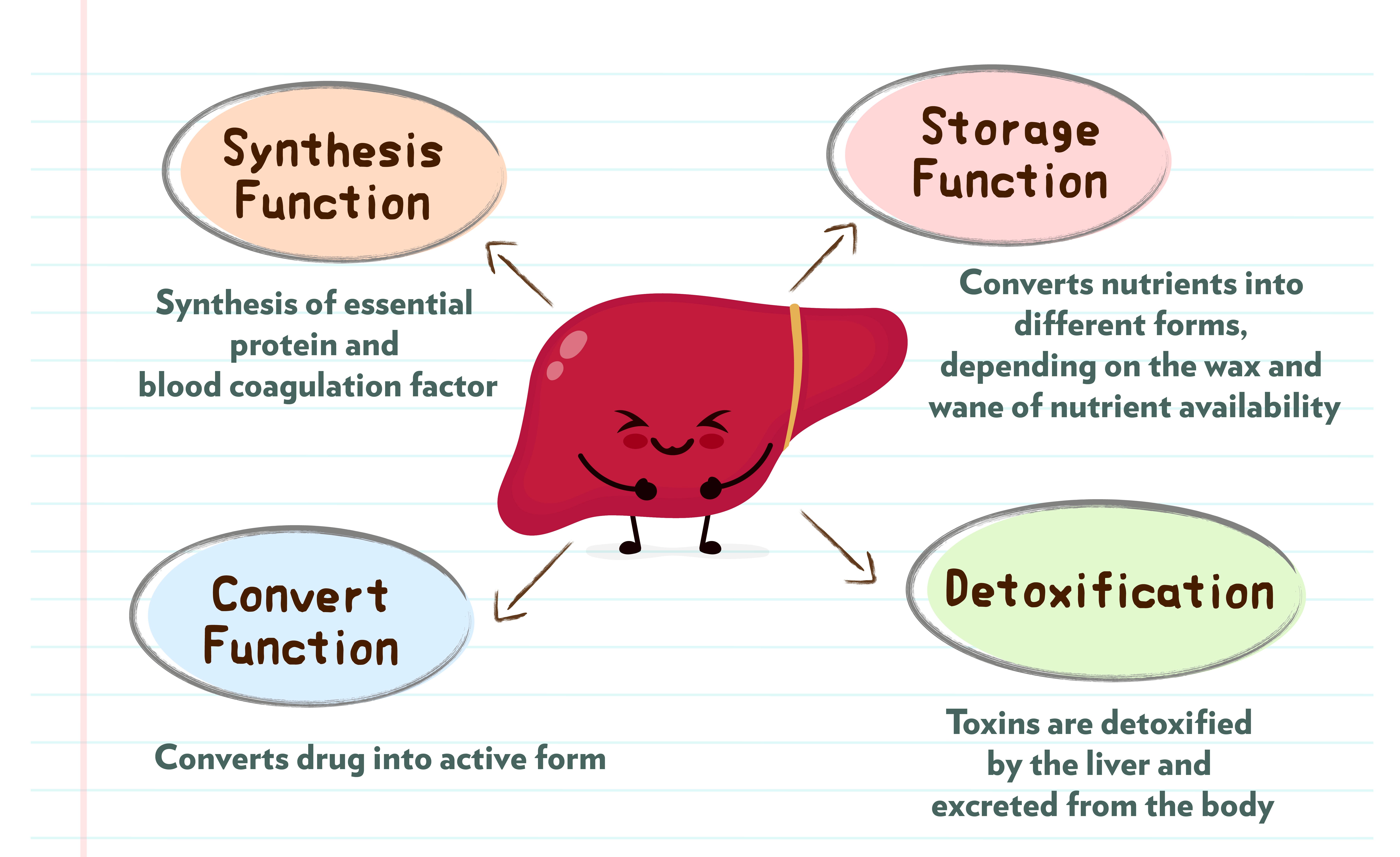 Detox Formula Information Page
